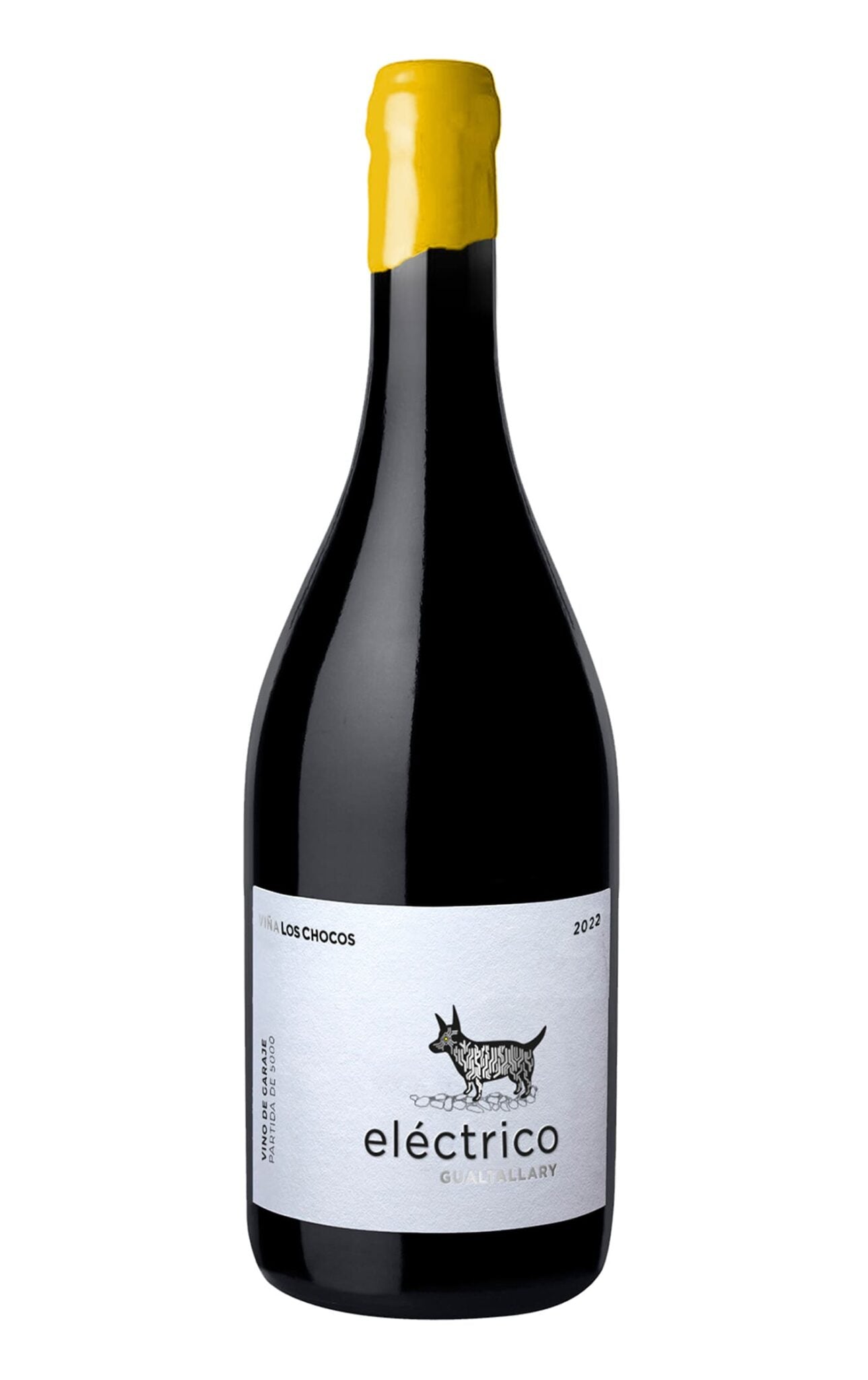 Los Chocos Eléctrico – Branco 2022