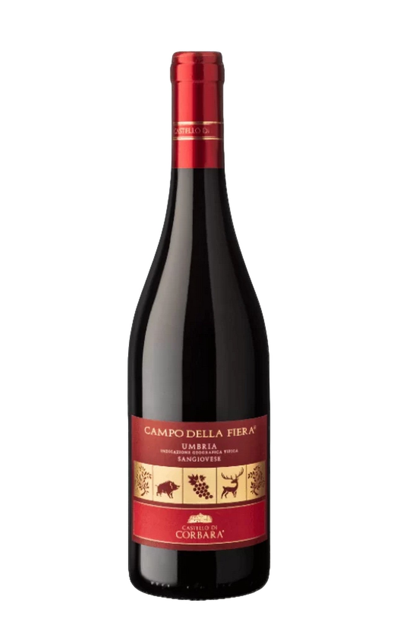 Campo Della Fiera Sangiovese Umbria IGT 2023