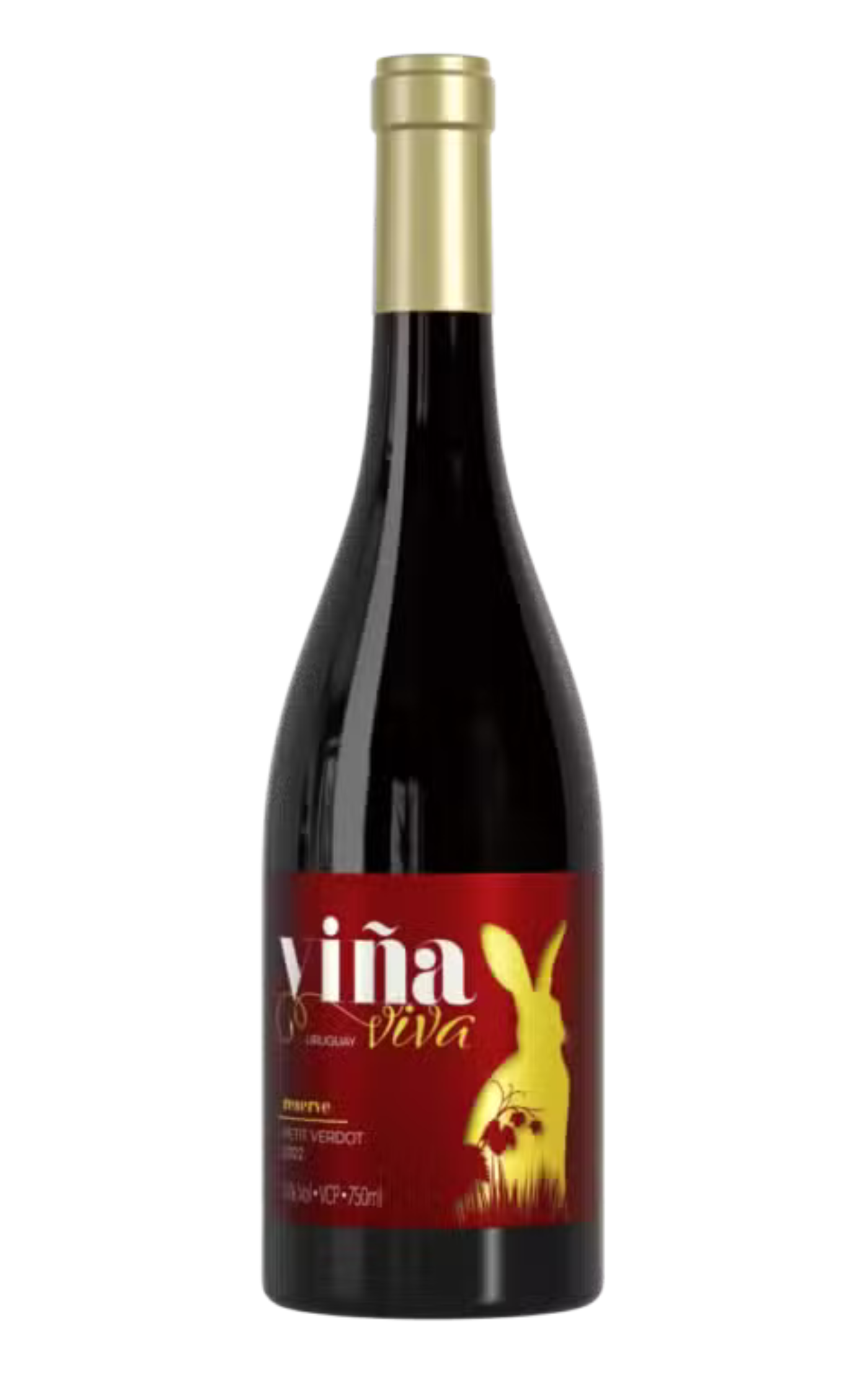 Vina Viva Petit Verdot Reserve