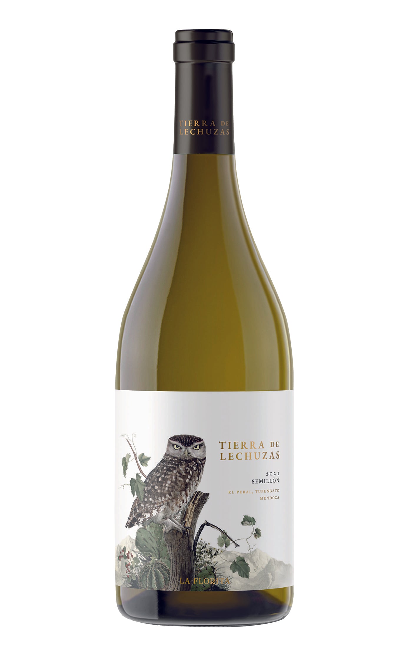 Tierra de Lechuzas - Semillón